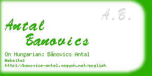 antal banovics business card